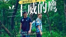 萌宠大连接